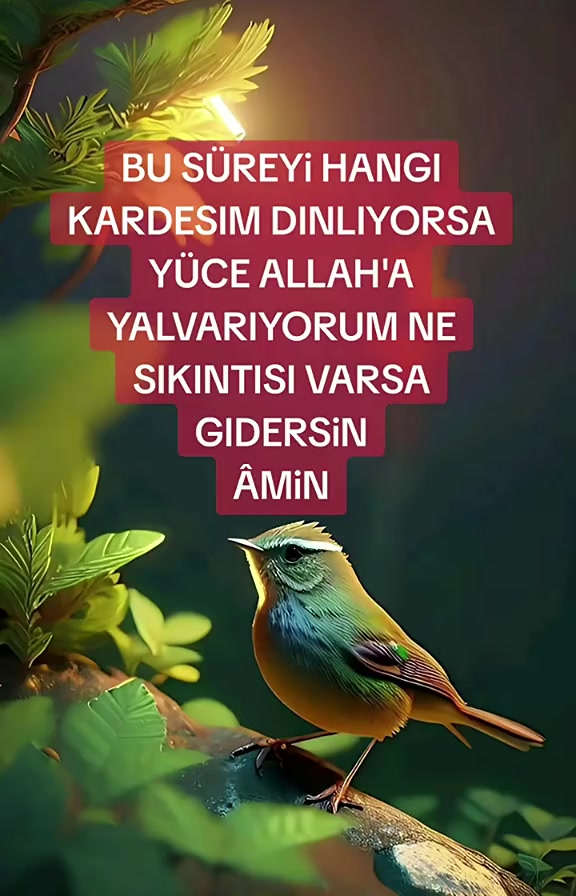 @🤘🇹🇷 EYUPCAN🤘Adanalı🤘🇹🇷
