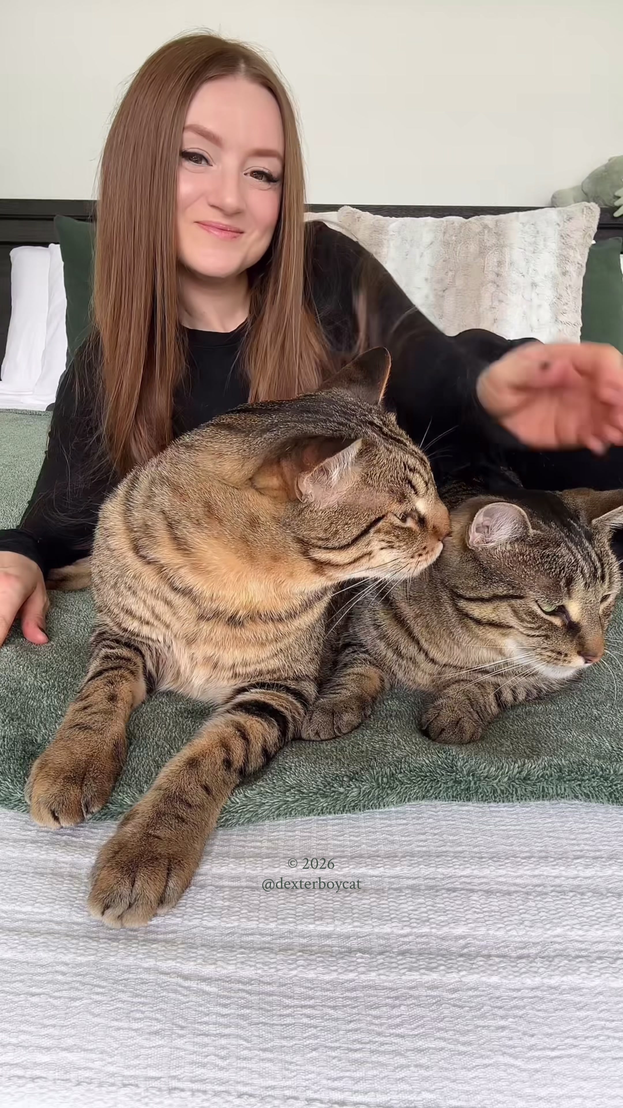 @dexterboycat 🐆♥️