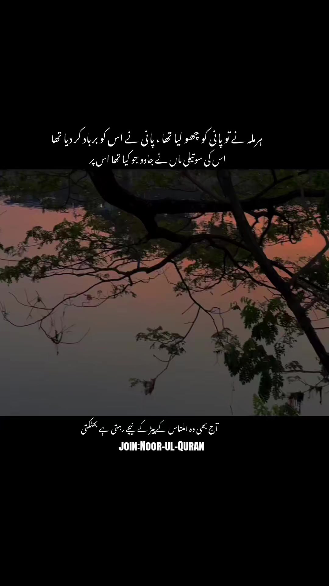 @قیس ✨🤍