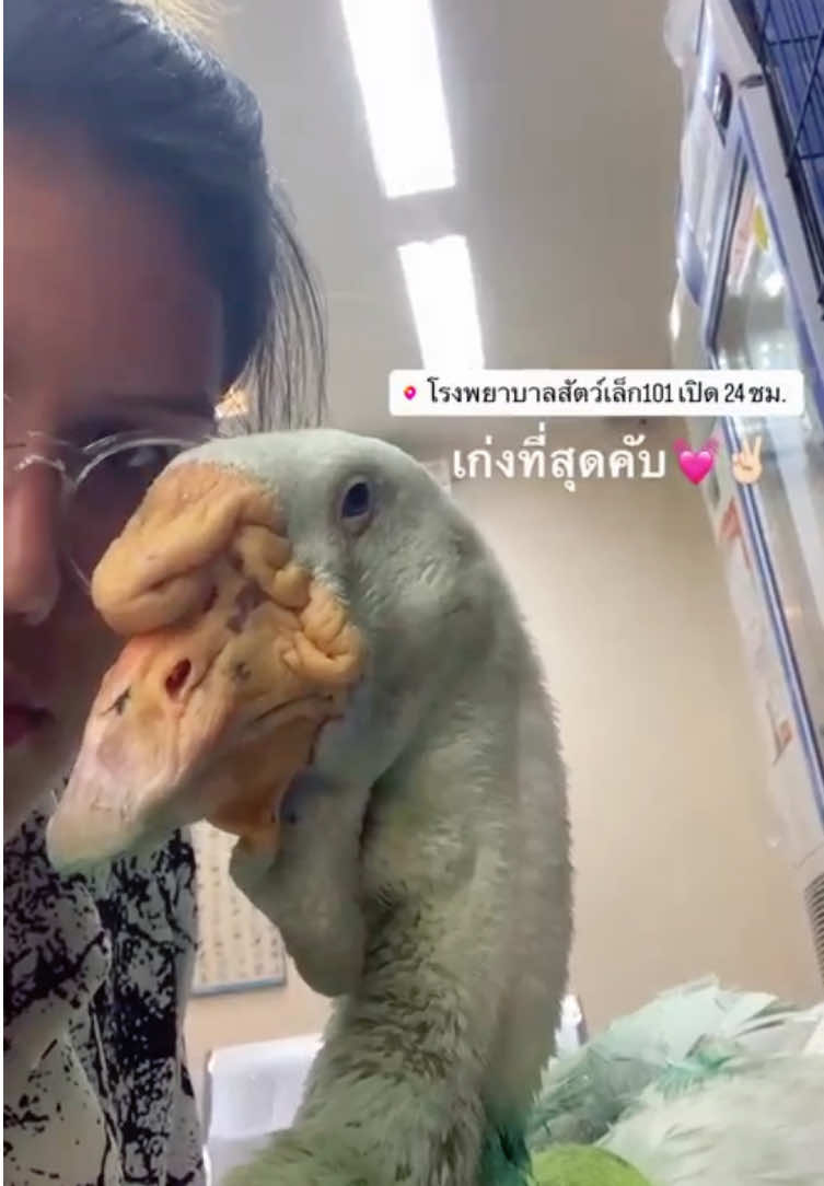 @แงซายลูกชายป๊าแพท