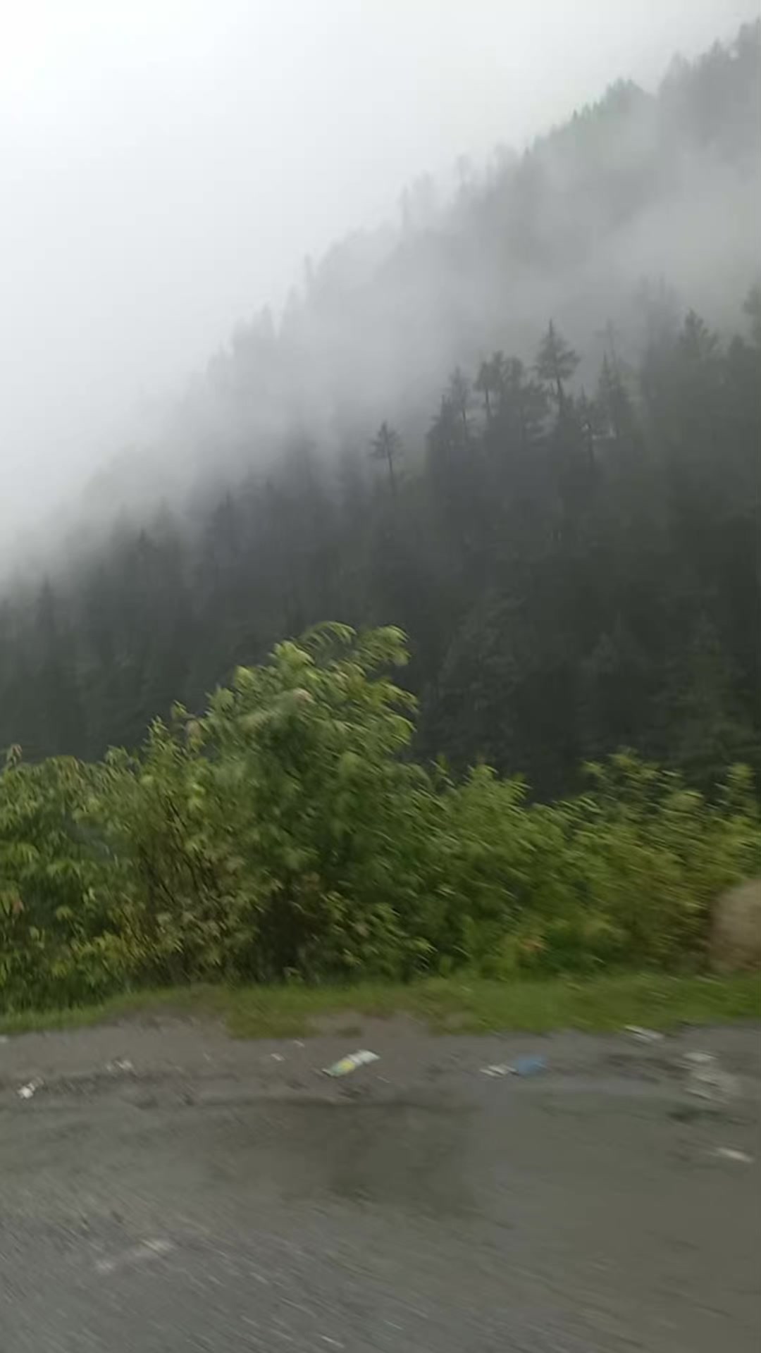 @Saeed Zaman