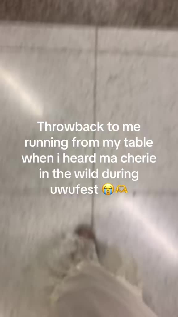 @bazzarhussar