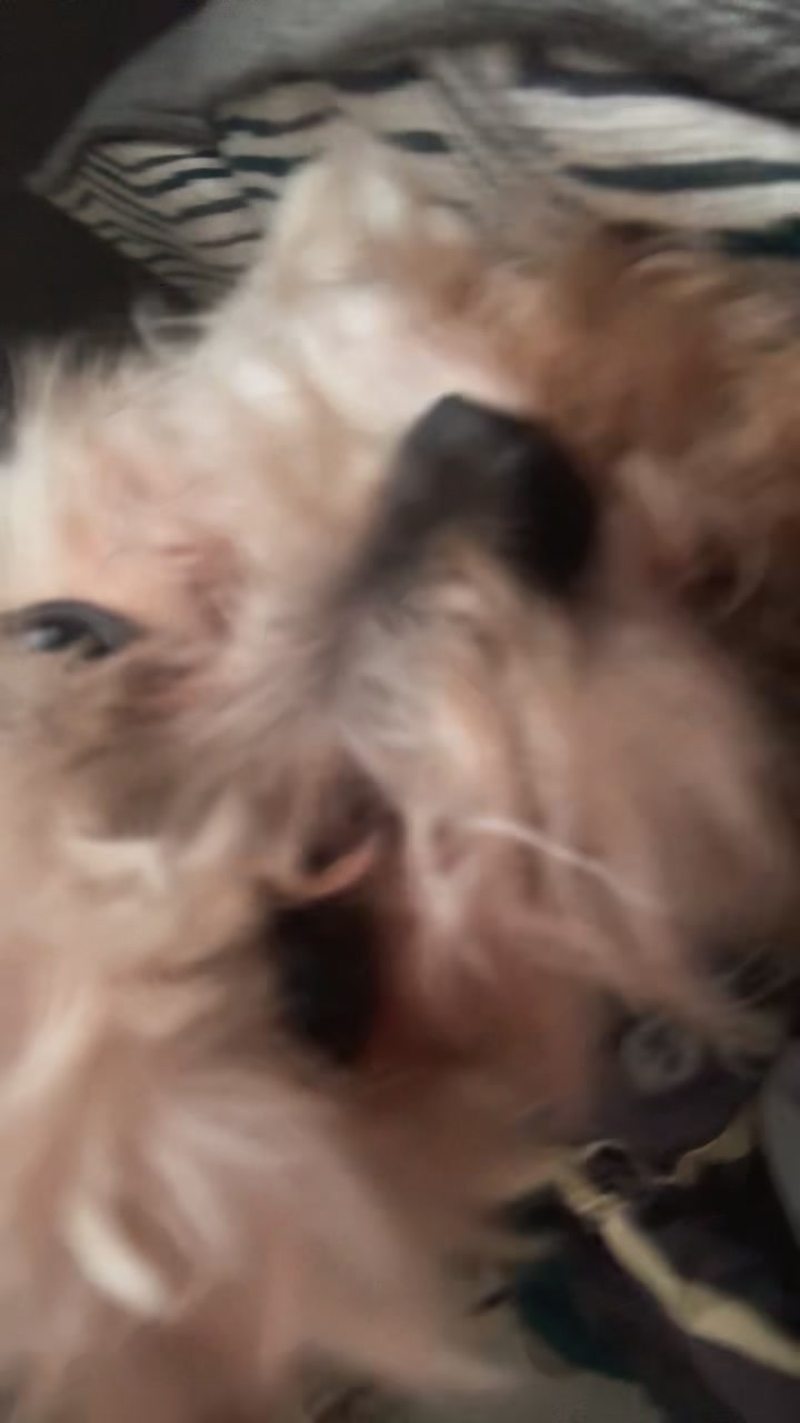 @Natali