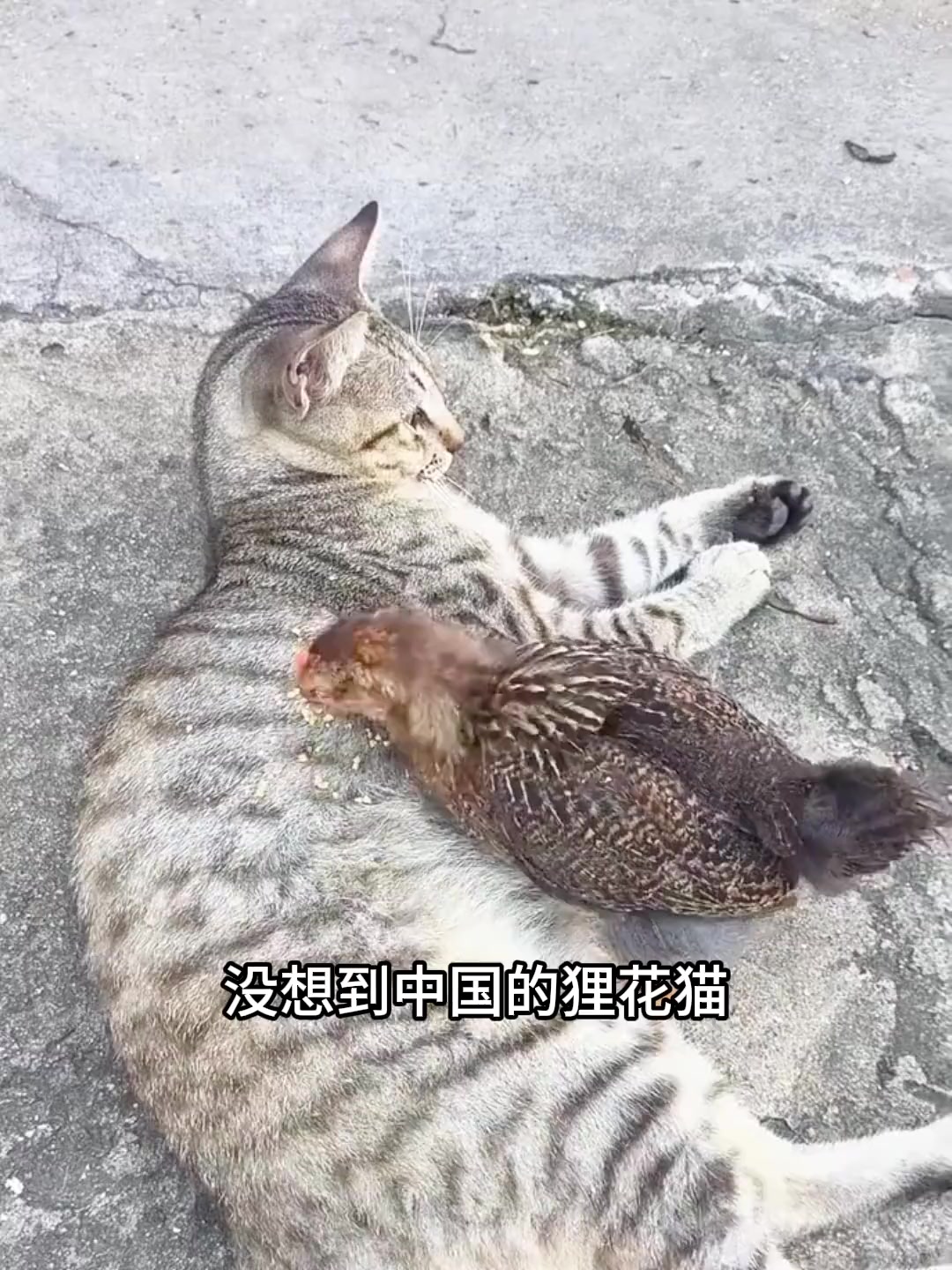 @𝓥𝓪𝓵𝓸𝓻.