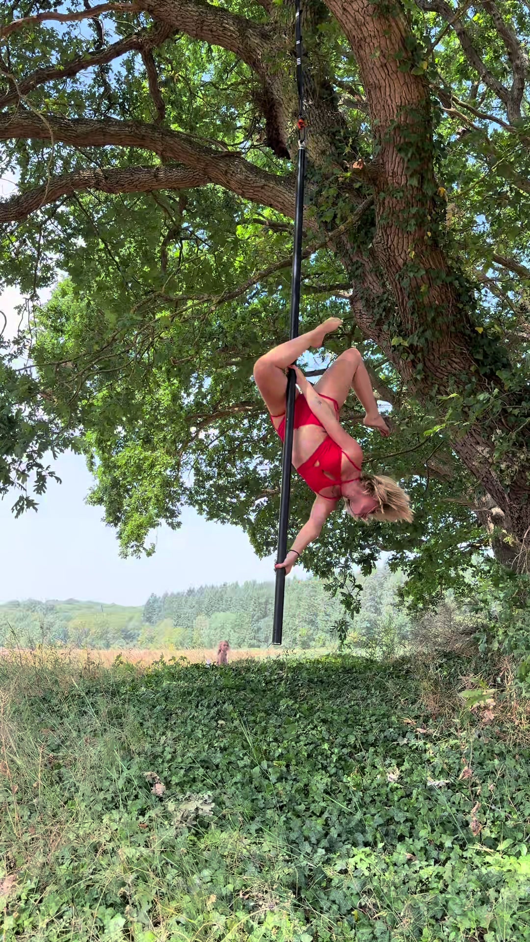 @Marine_moonlight_pole