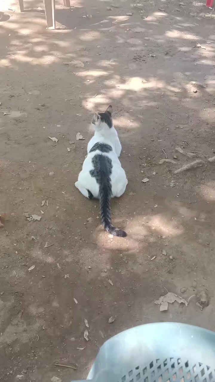 @minnoşlarim herşeyim♥️