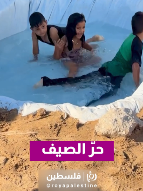 @Royapalestine رؤيا فلسطين