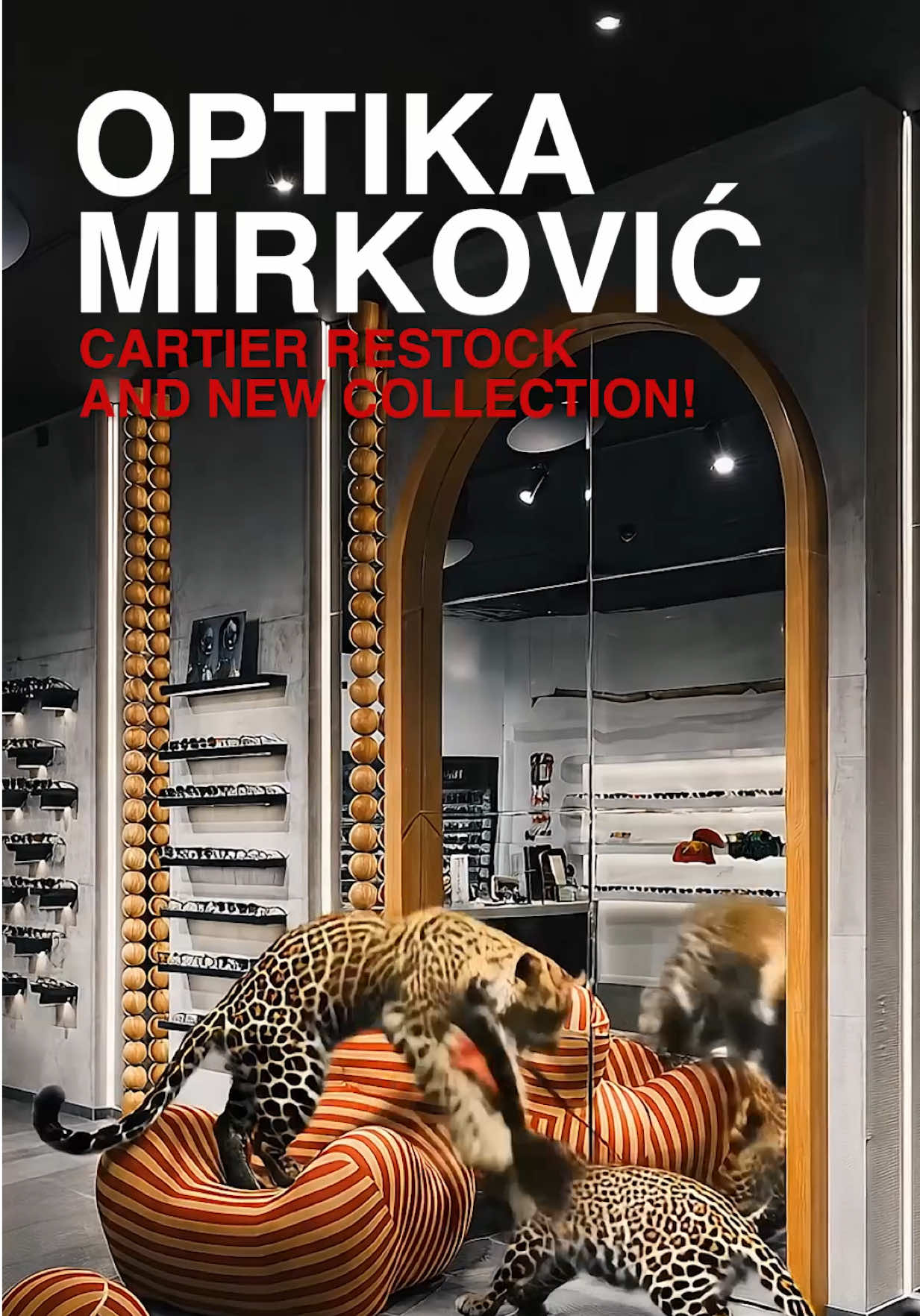 @Optika Mirković😎🤓🇲🇪