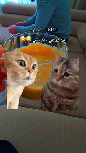 @Lelav2233