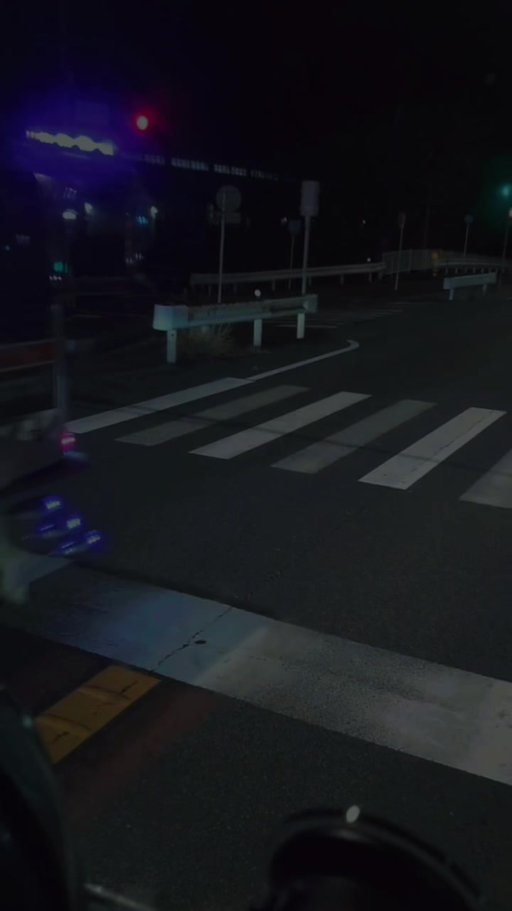 @夜に咲く瑠璃の華