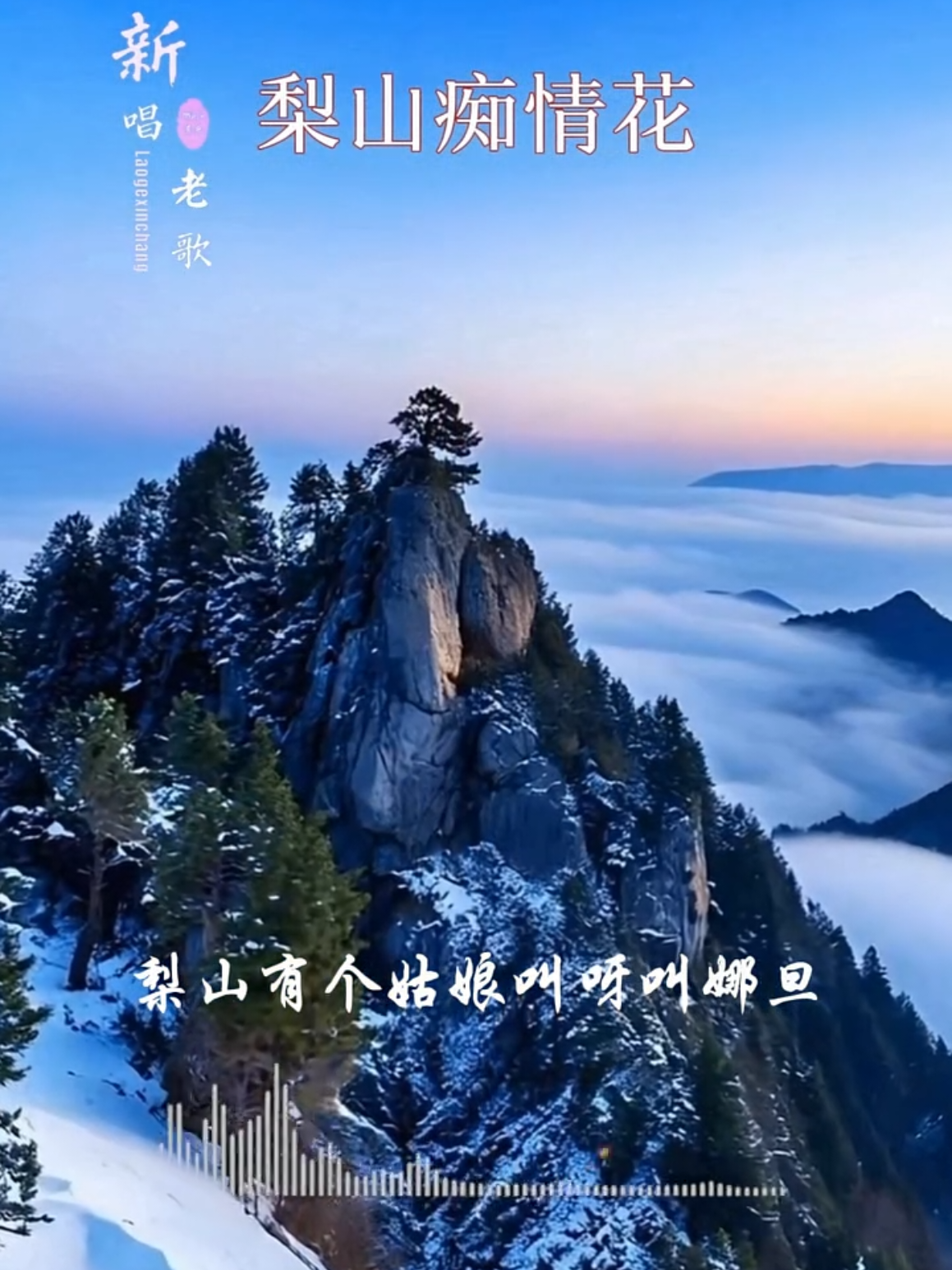 @美丽的世界