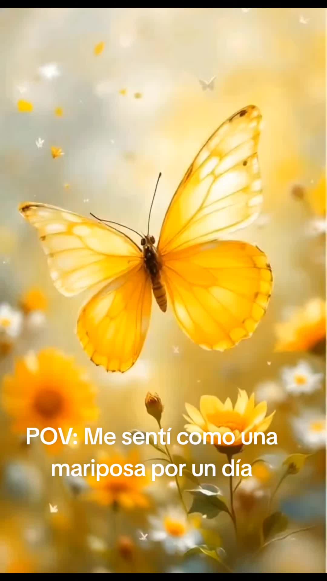 @user4259564731210
