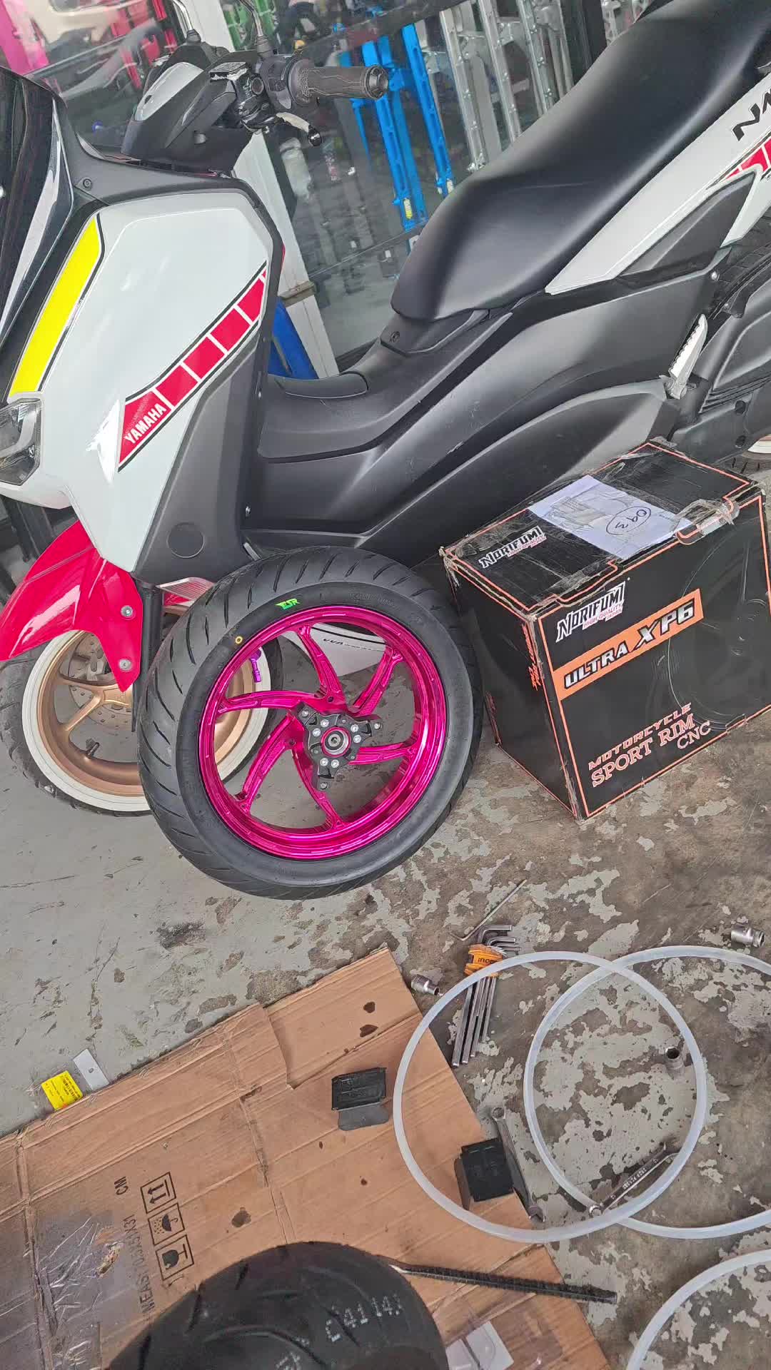 @fujimotorpol2288