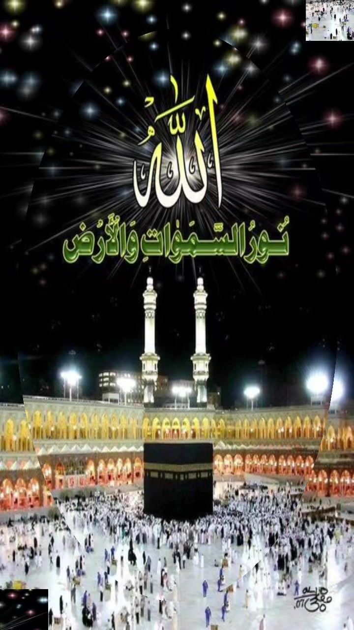 @UMMUU QERROo🐅👈