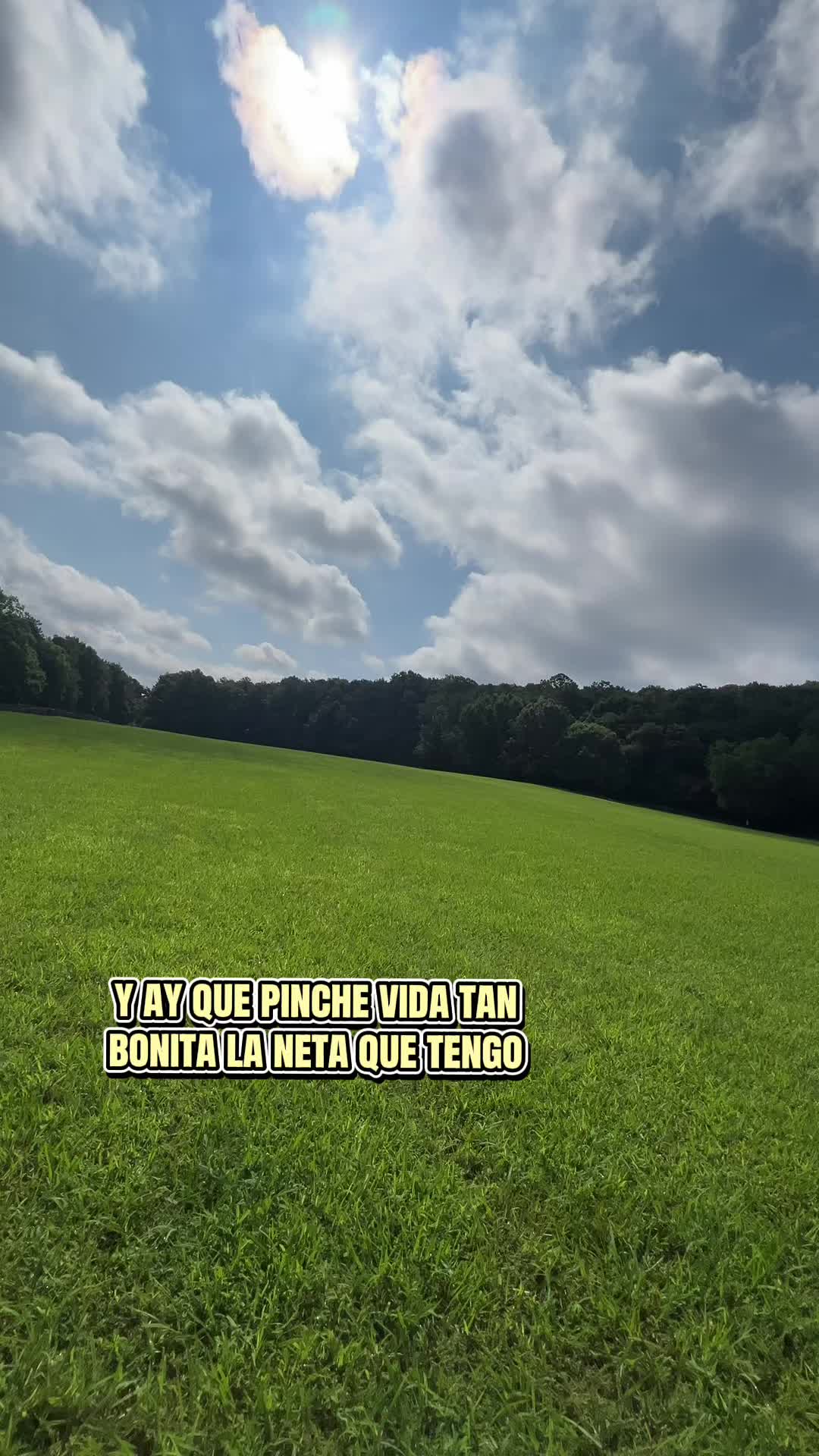 @Magali Zazueta