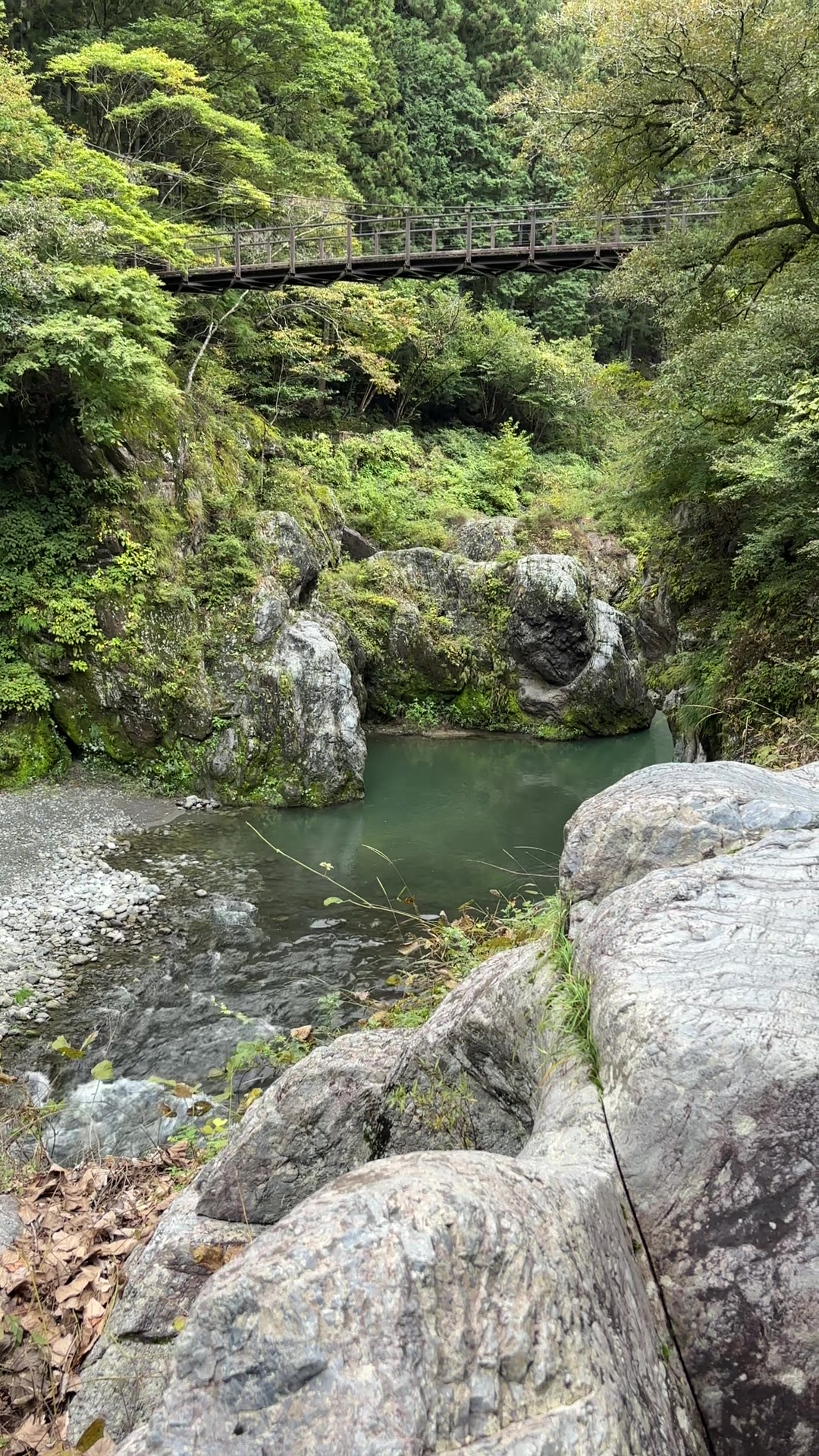 @YOHAKU.scenery