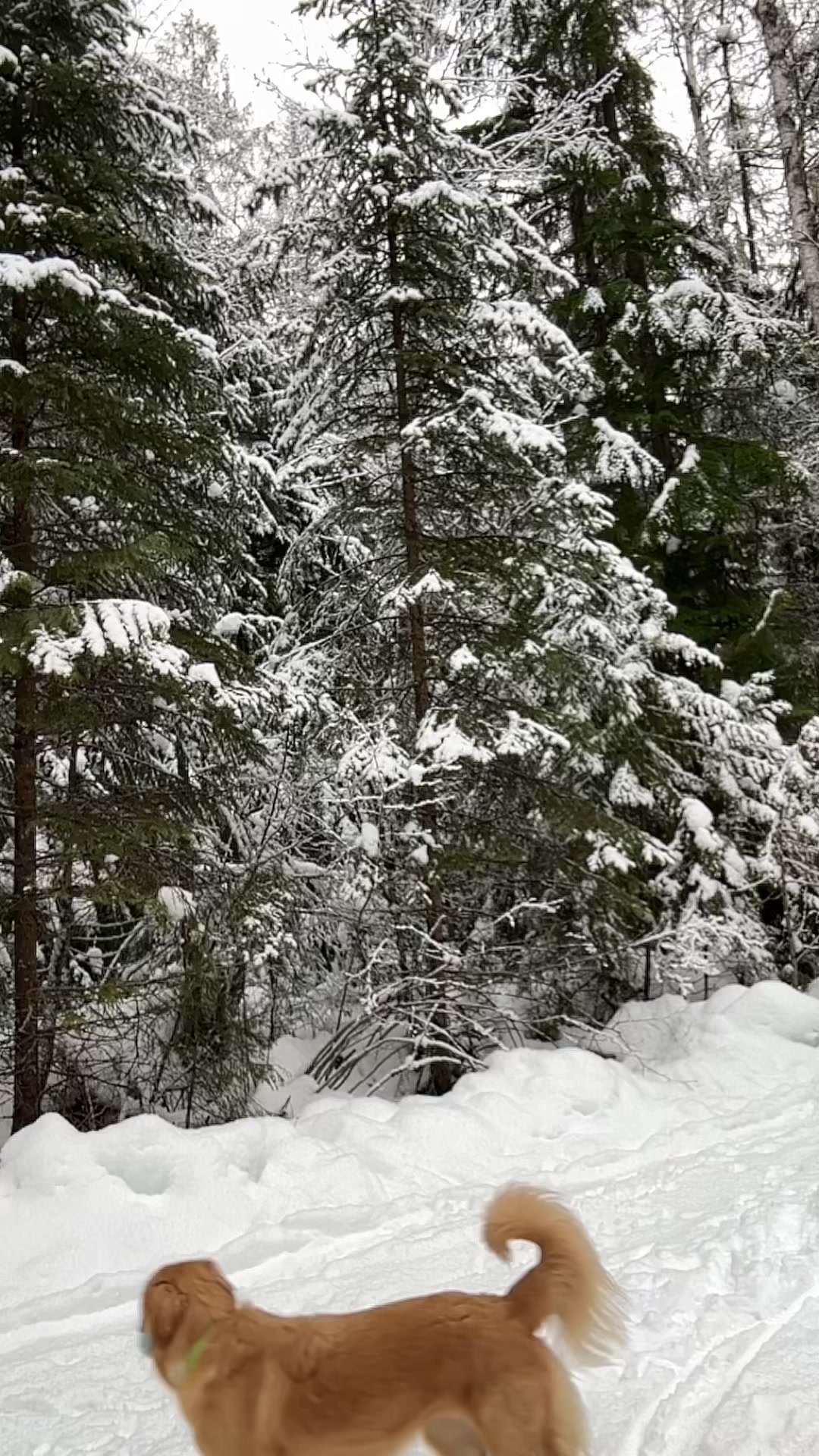 @c.klipp🇨🇦