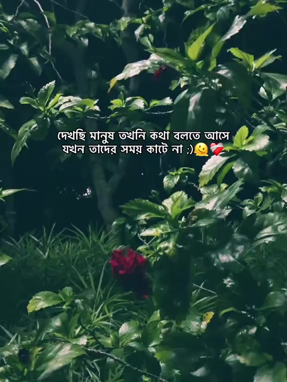 @md Sofik1234