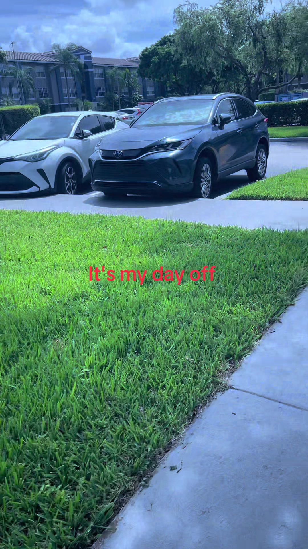 @M.Junior904
