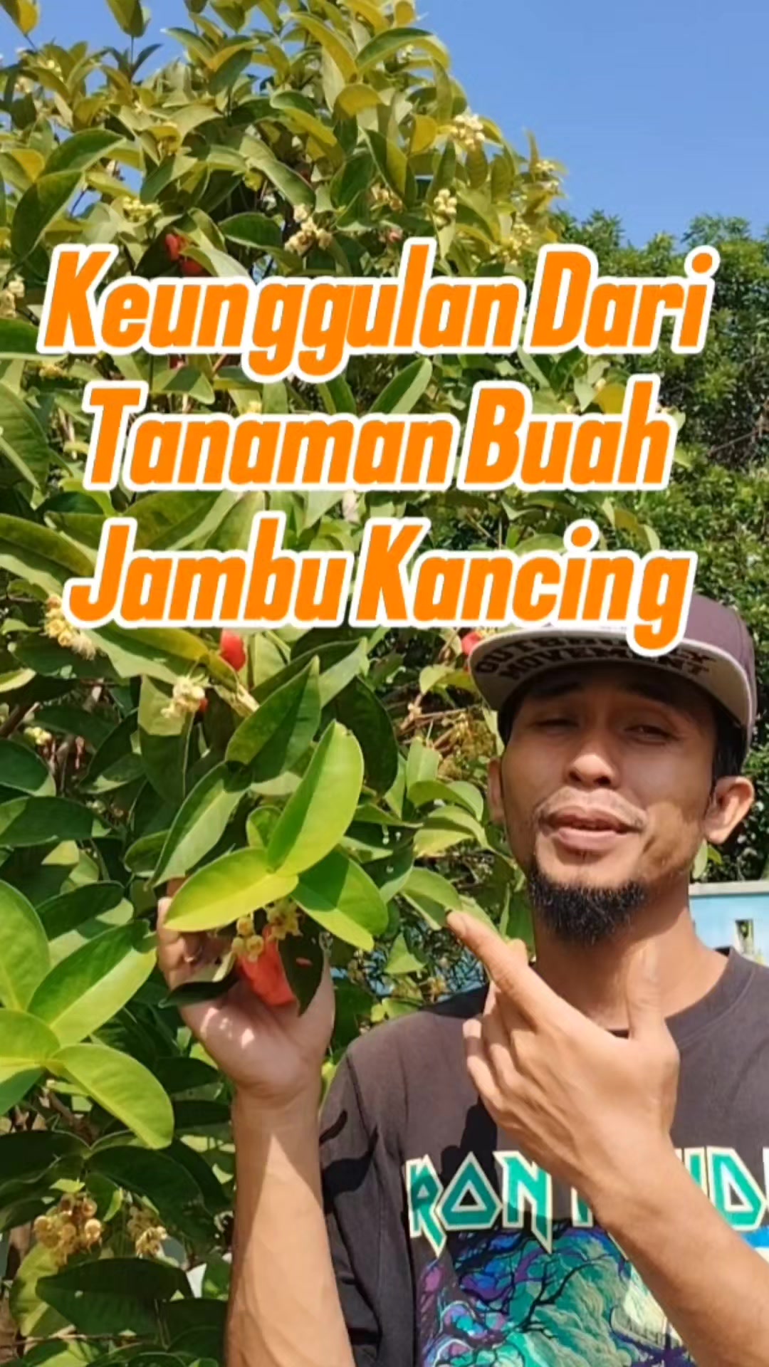 @Bukit Farming