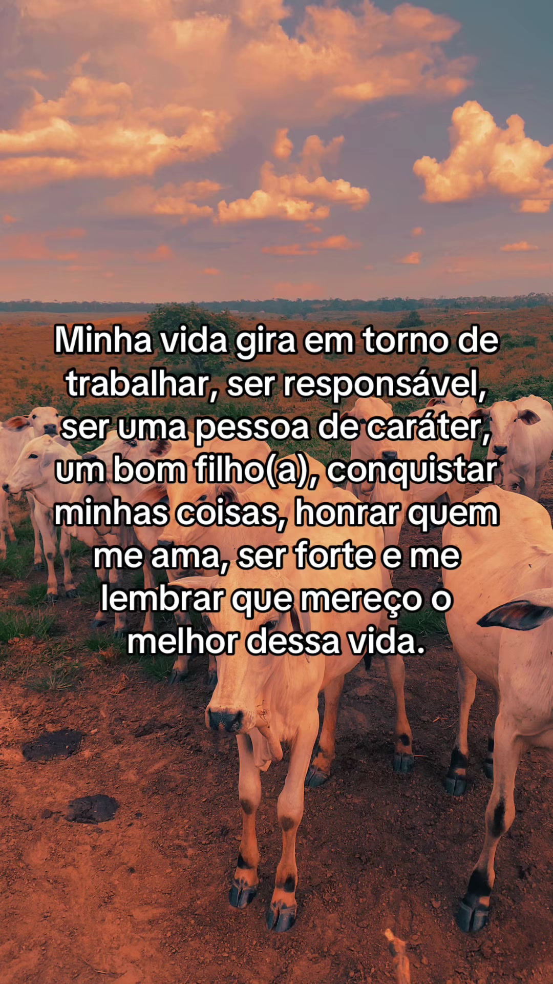 @📿K&Aacute;SSIO.agro𓃗🤠