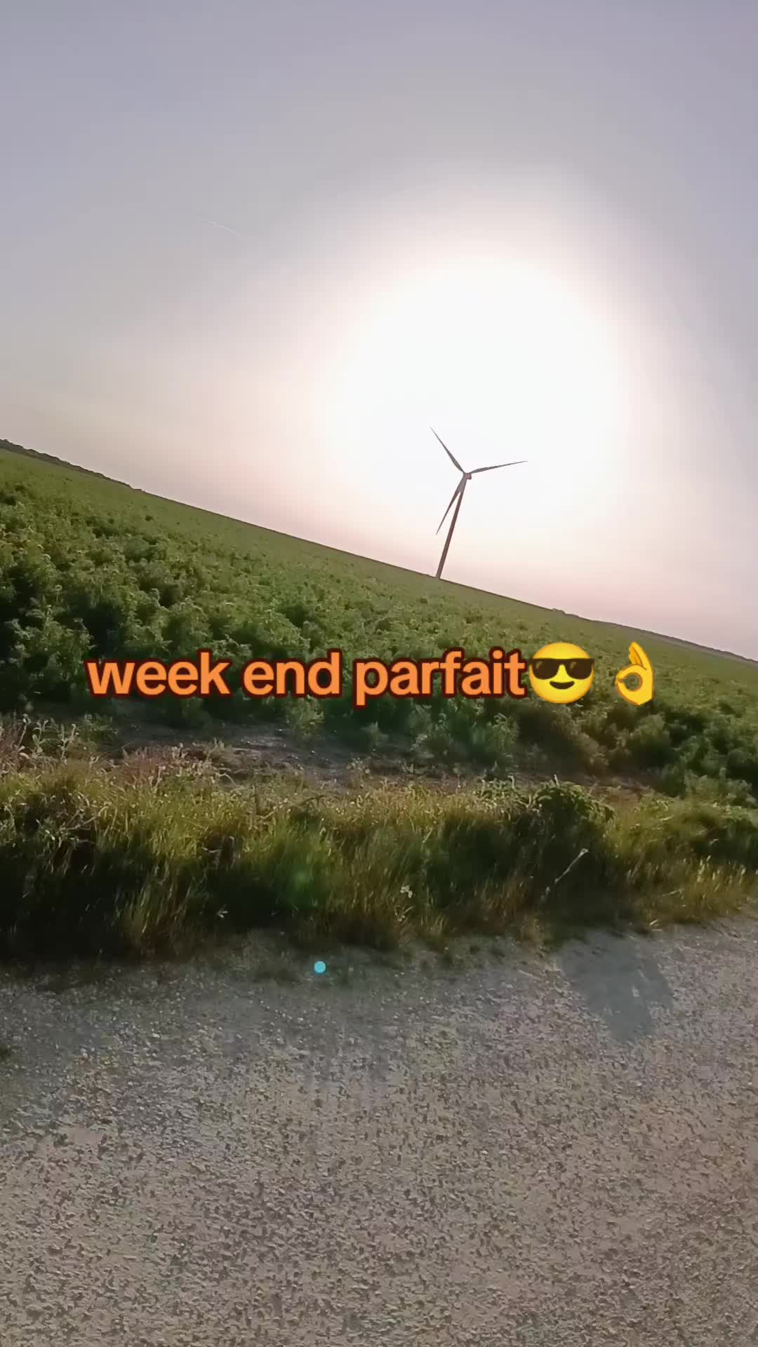 @Laura