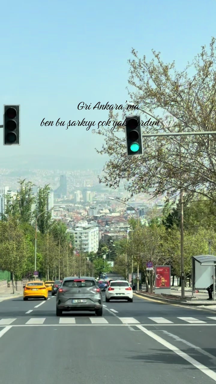 @Basakercetin