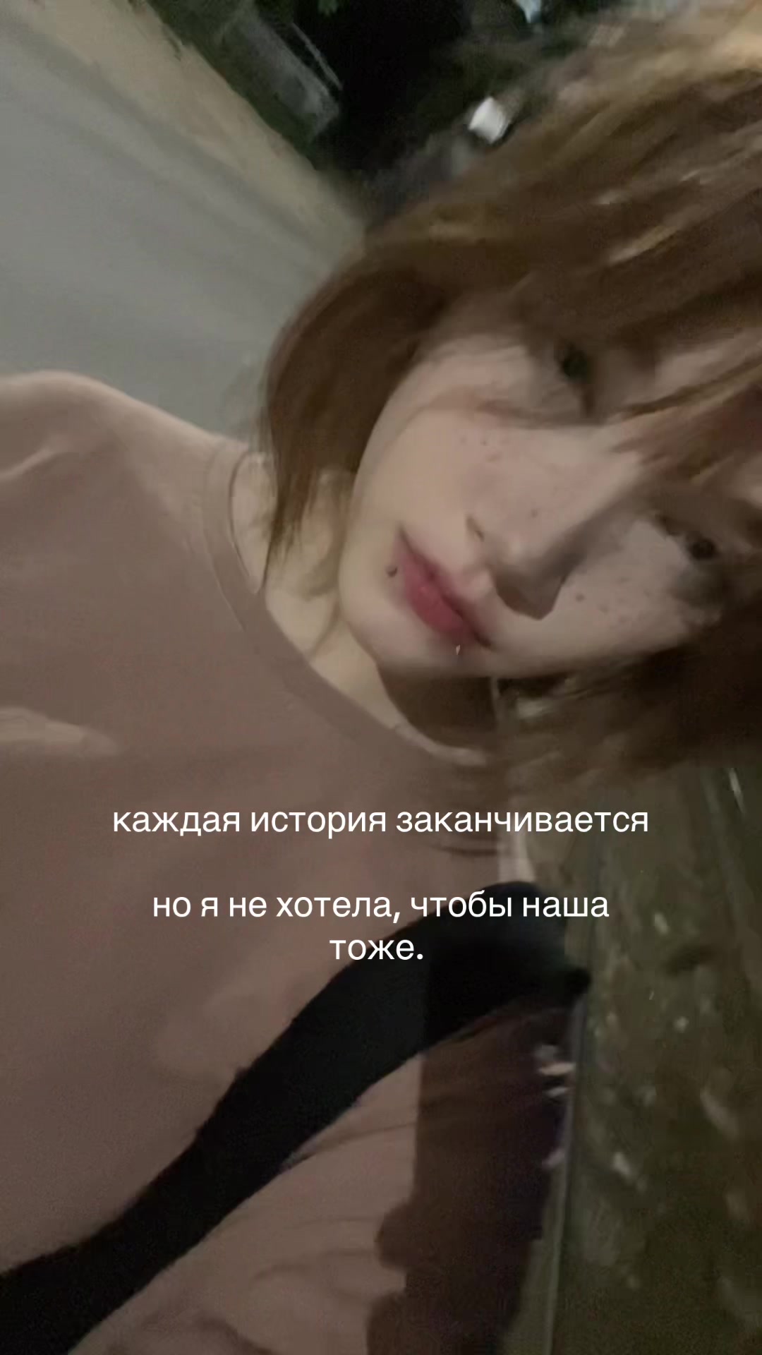 @лацертида
