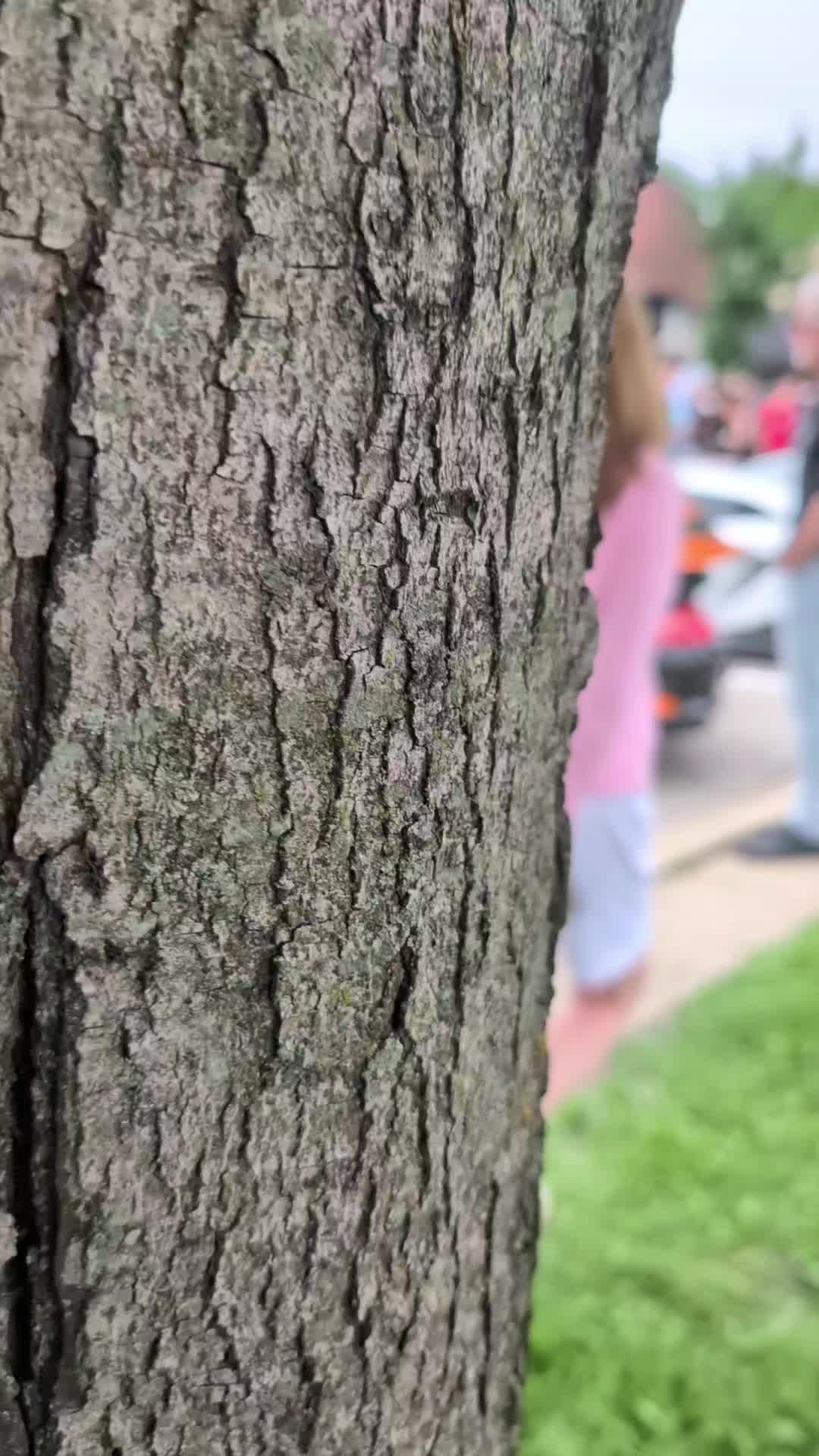 @𖣂