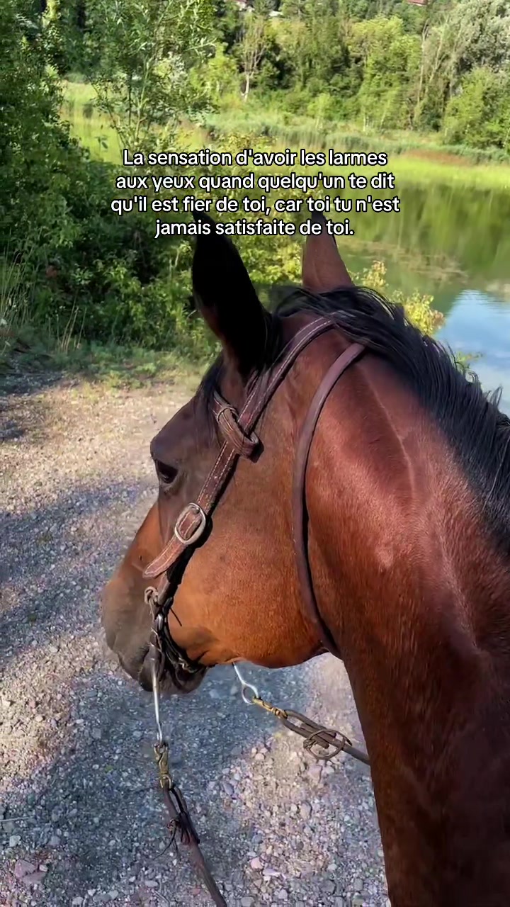 @shoot_equestres