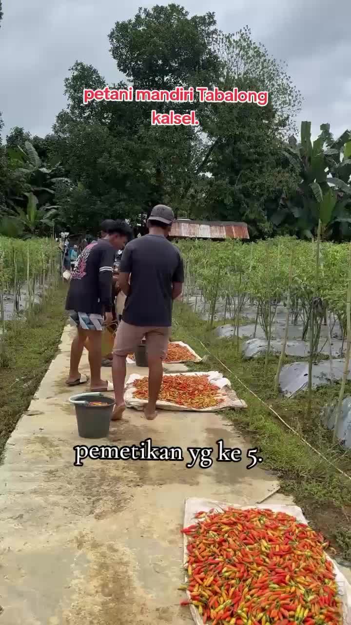 @SURYA TANI