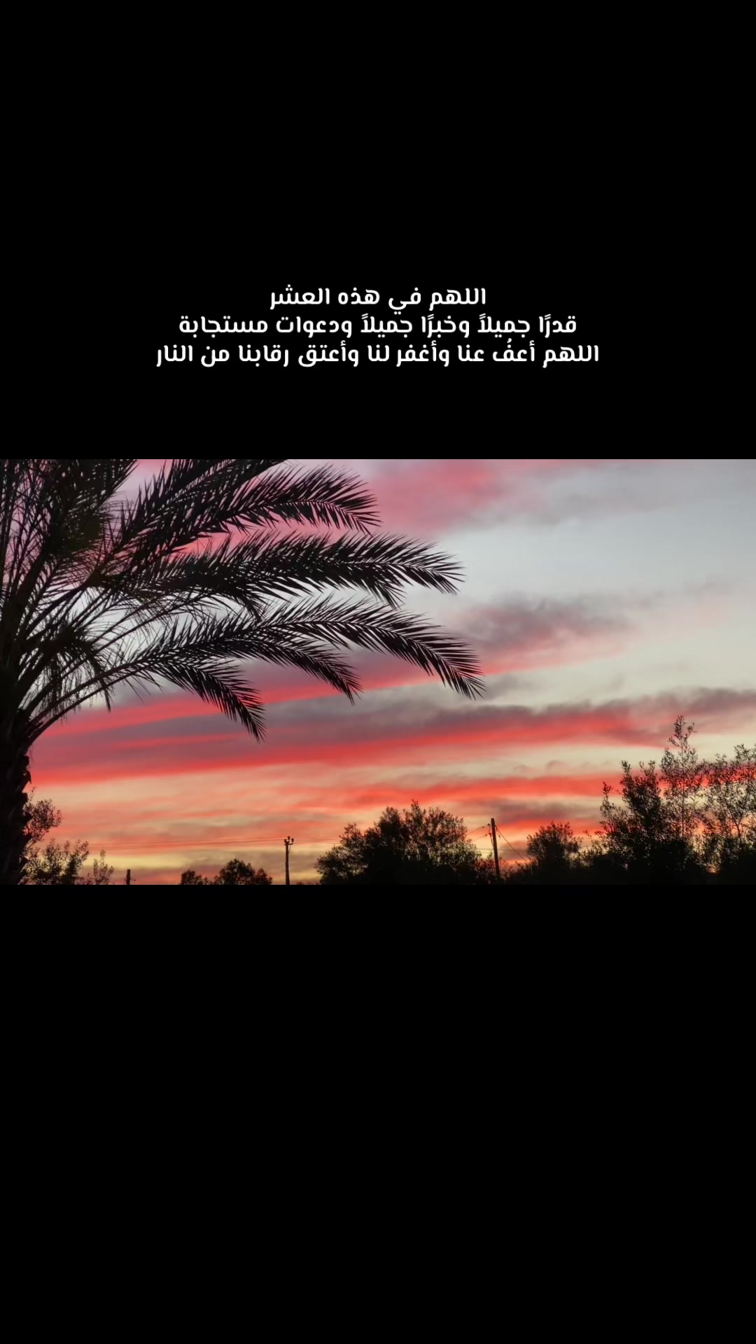 @﮼فروح🦌❣️.