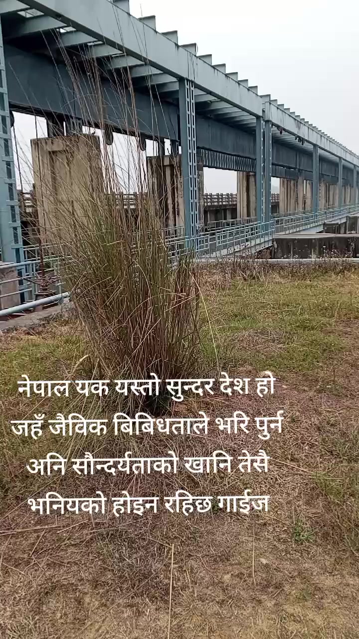 @अम्मर गोर्खाली