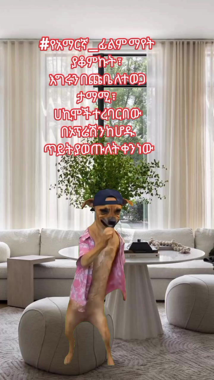 @ዳኒ / Dani