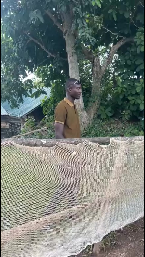 @LE BERGER☘️ÉLEVER💦🥰🇨🇮🇲🇱