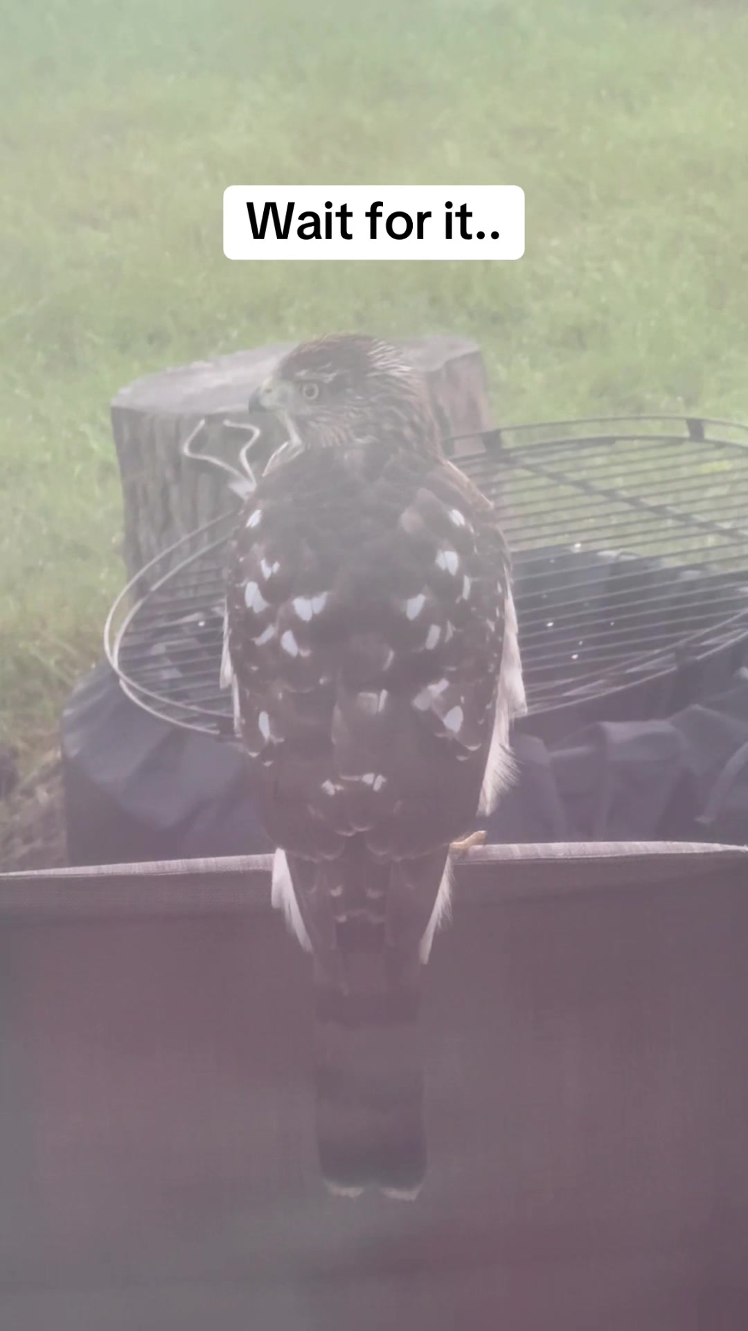 @Totally Baked 🧁