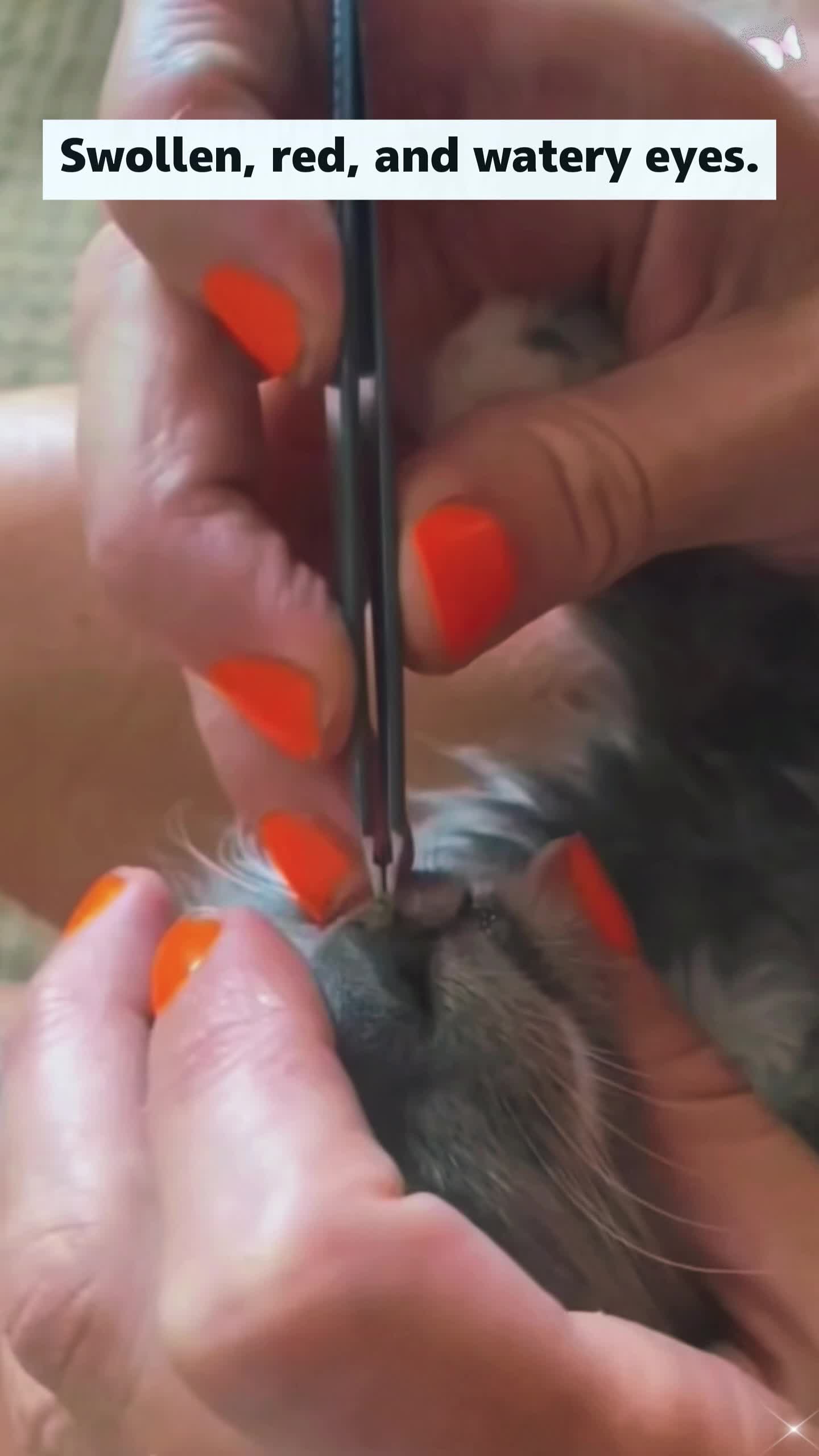 @Animal rescue tips