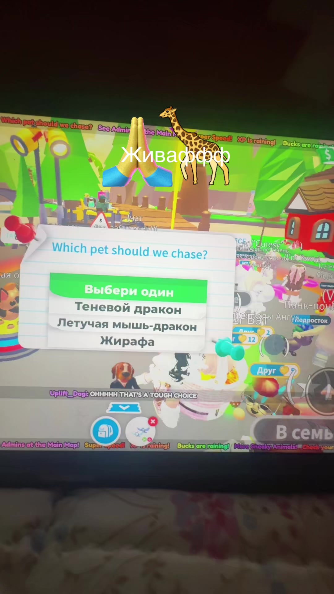 @°𐙚🍬𝒞𝒶𝓃𝒹𝓎 𝒶𝒹𝑜𝓅𝓉 ୨୧°