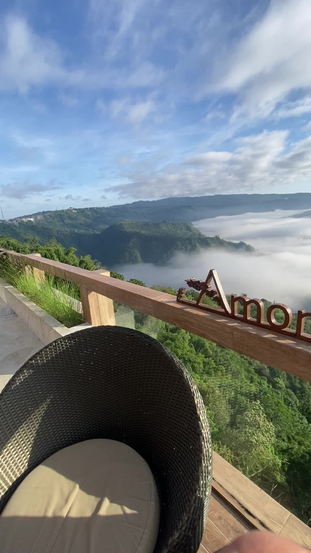 @Amora Kintamani