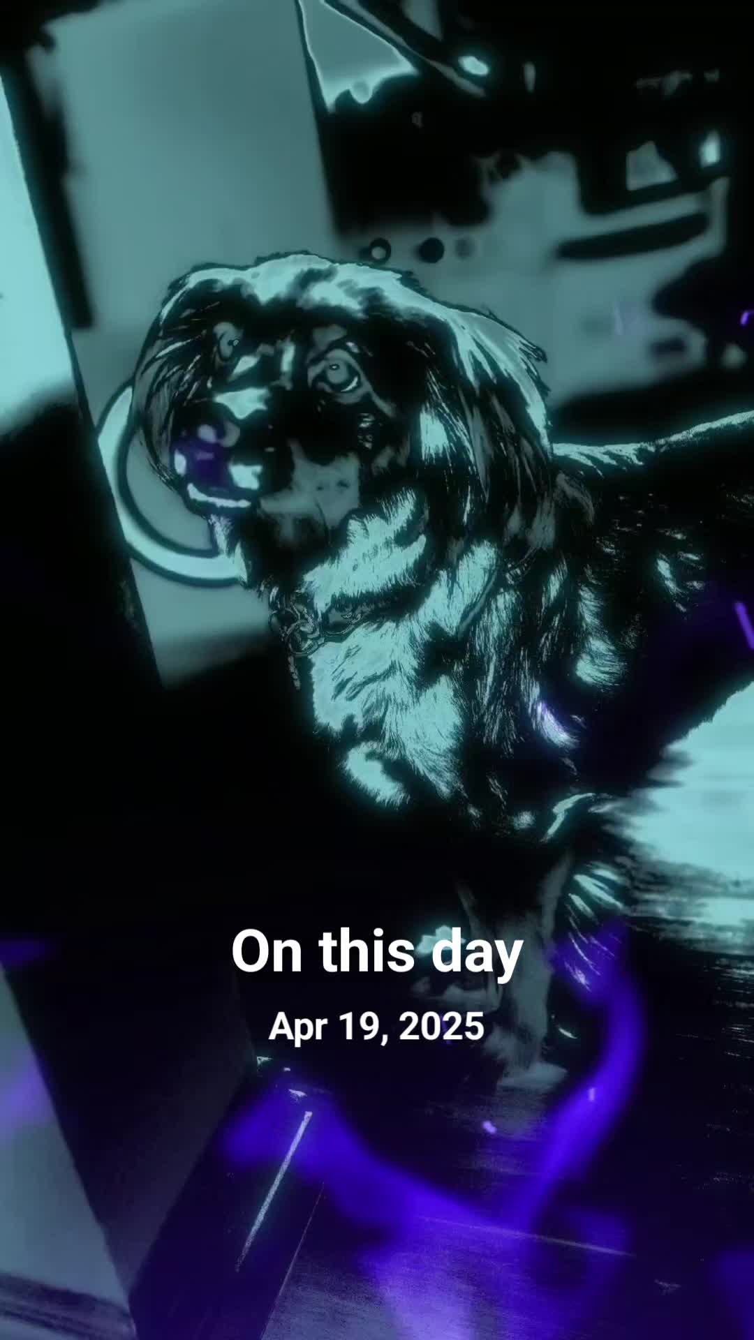 @Max and Company 🐕💚🐕💚