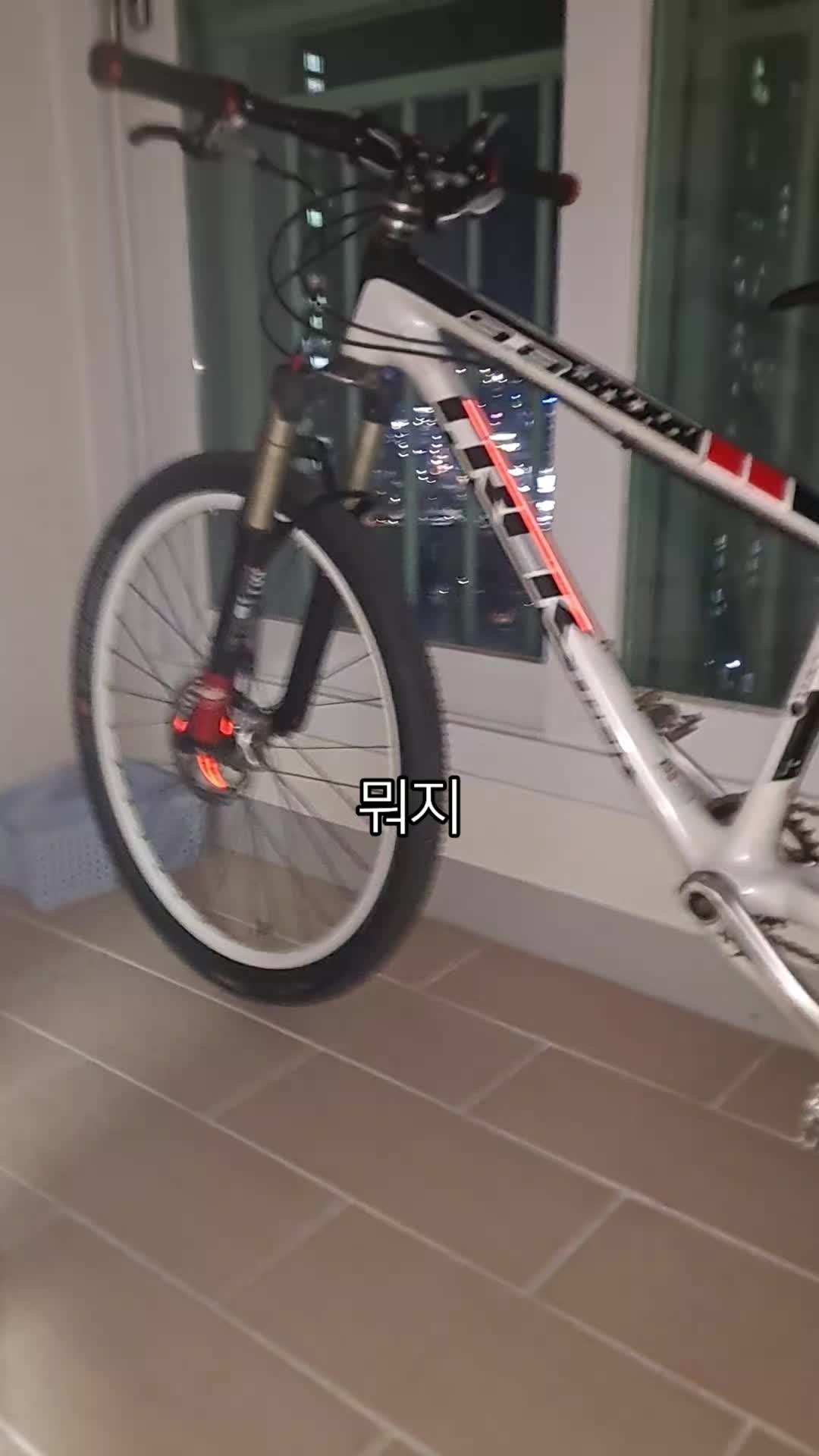 @쿼카콜라