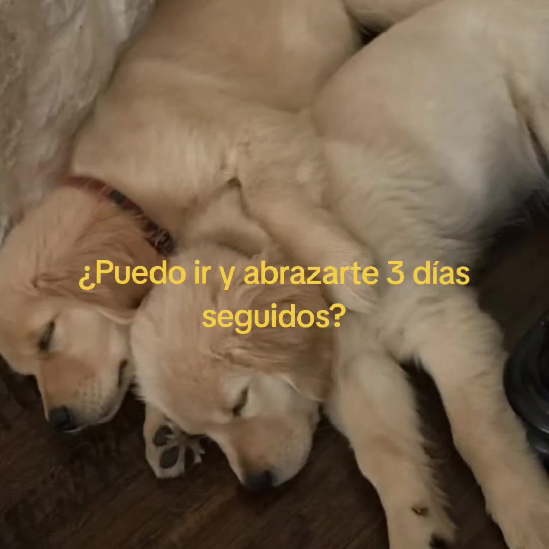 @goodvibessxd