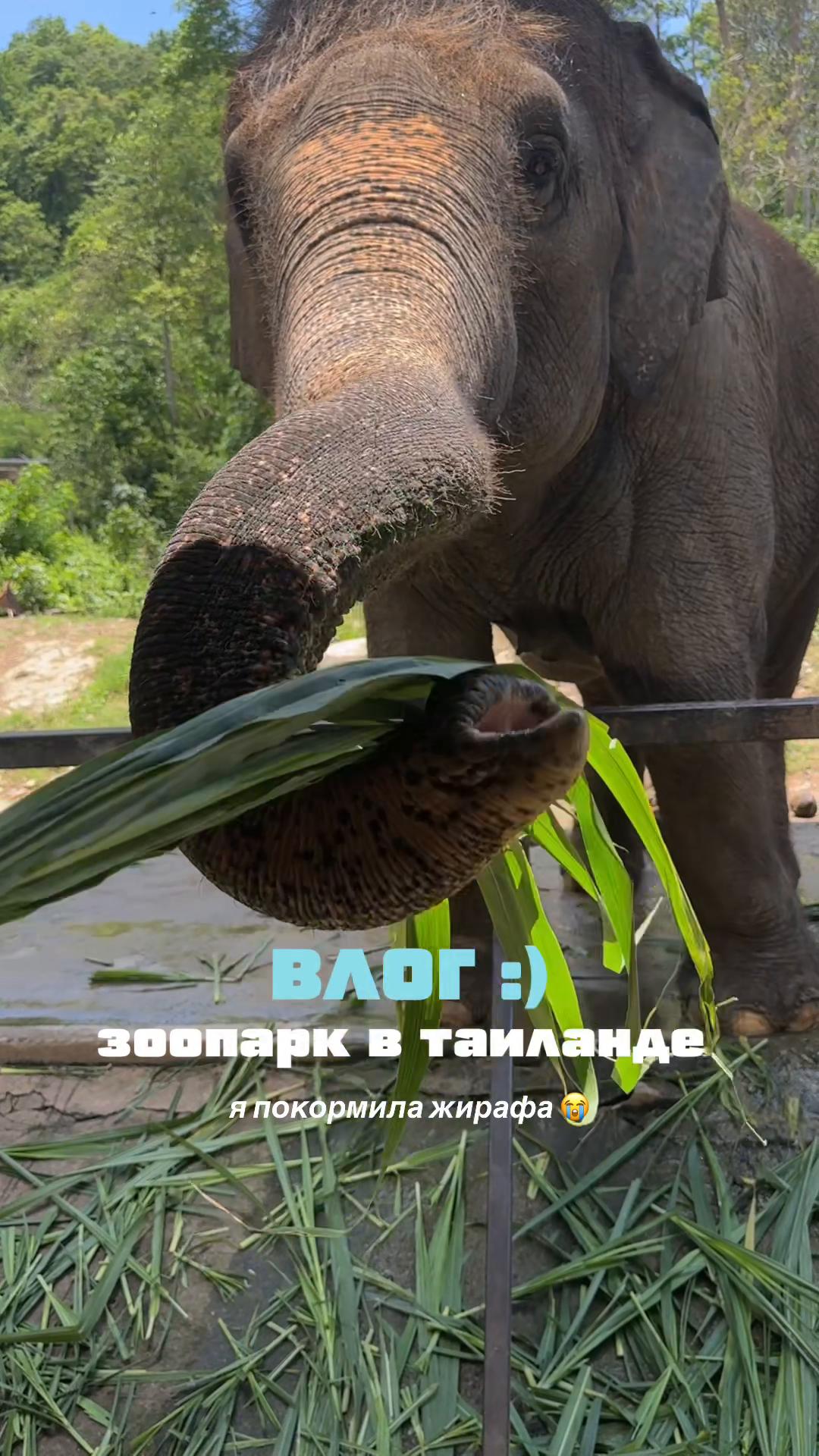 @тгк: чур я даша