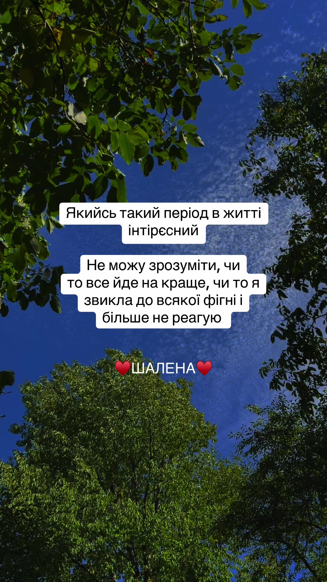 @♥️ШАЛЕНА♥️