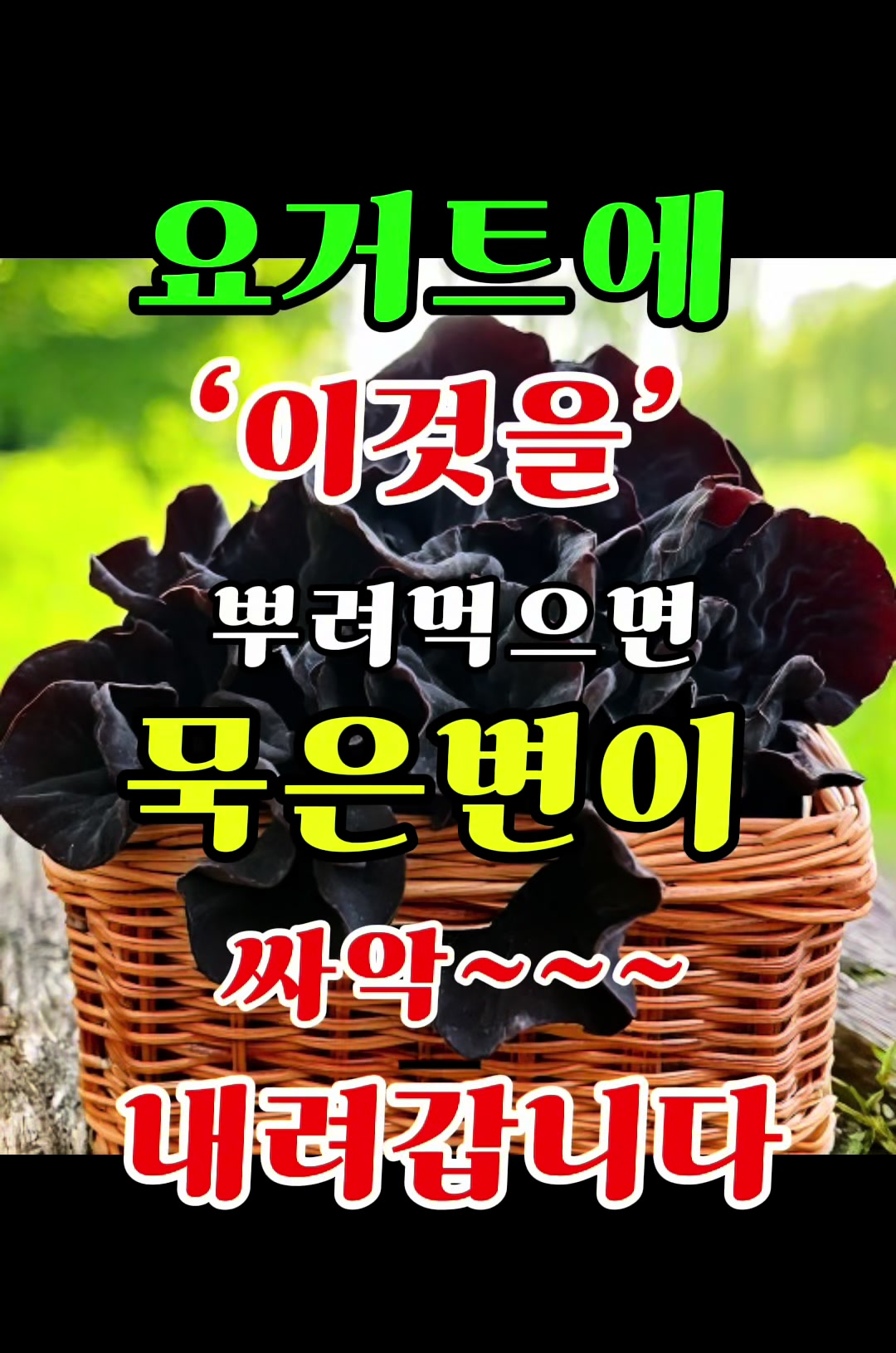 @건강해지는 건강꿀통