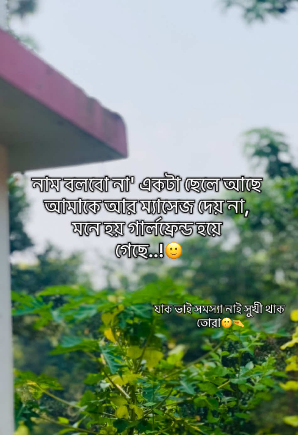 @টিক_টকি 🐸