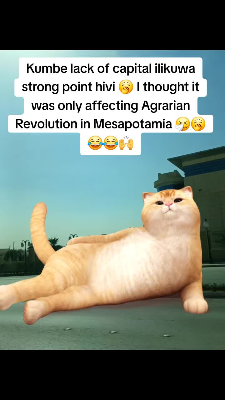 @Miss Vibez ๐ค๐๐