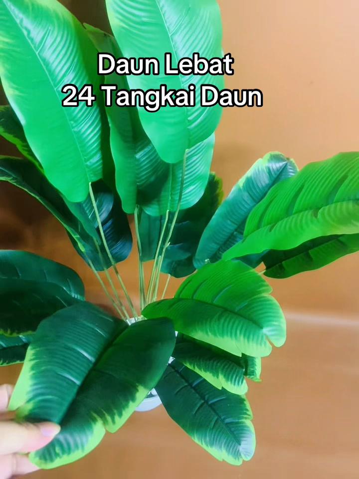 @Yulanda