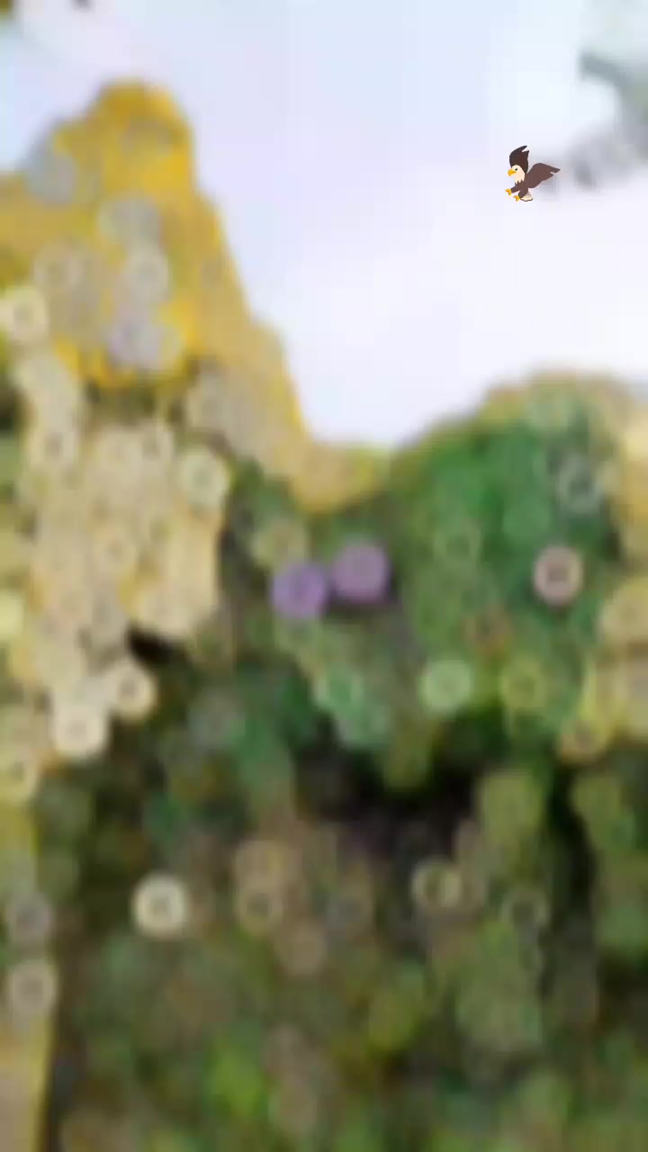 @🌼𝐒𝐔𝐅𝐀𝐈𝐃 𝐔𝐓𝐊 ☝🏿