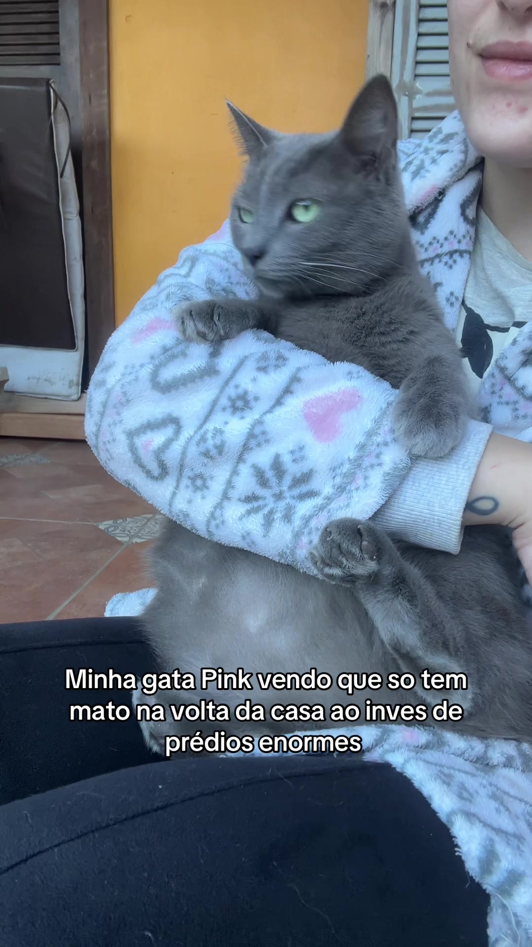@Gata Pink